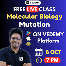 Vedemy